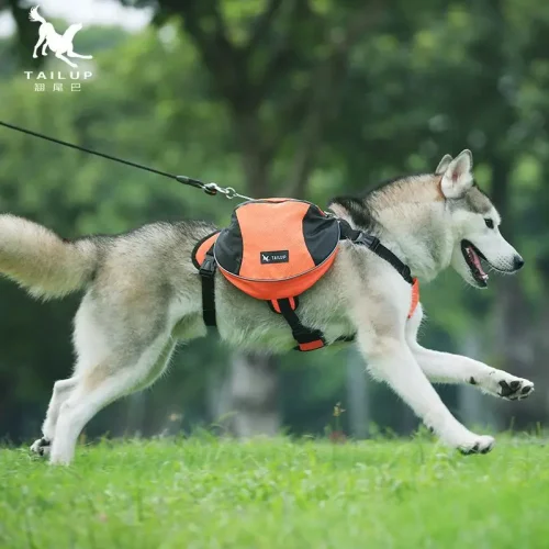 Large Capacity, Adjustable  Dog Backpack for Hiking